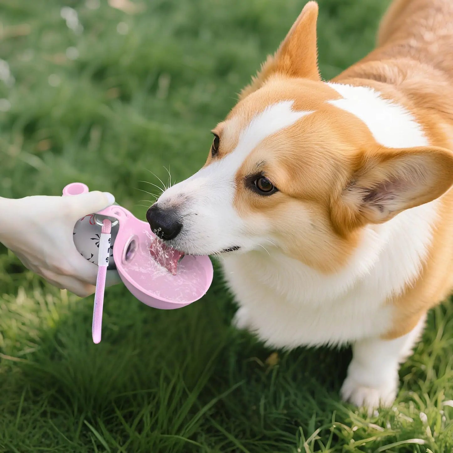 Pet Portable Dog Water Bottle