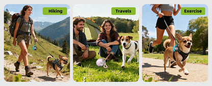 Pet Portable Dog Water Bottle