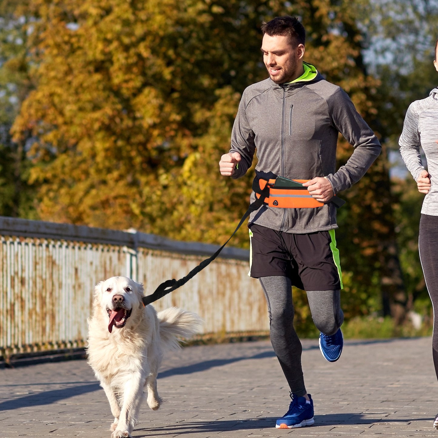 Hands Free Dog Leash for Running Walking Waist Bag
