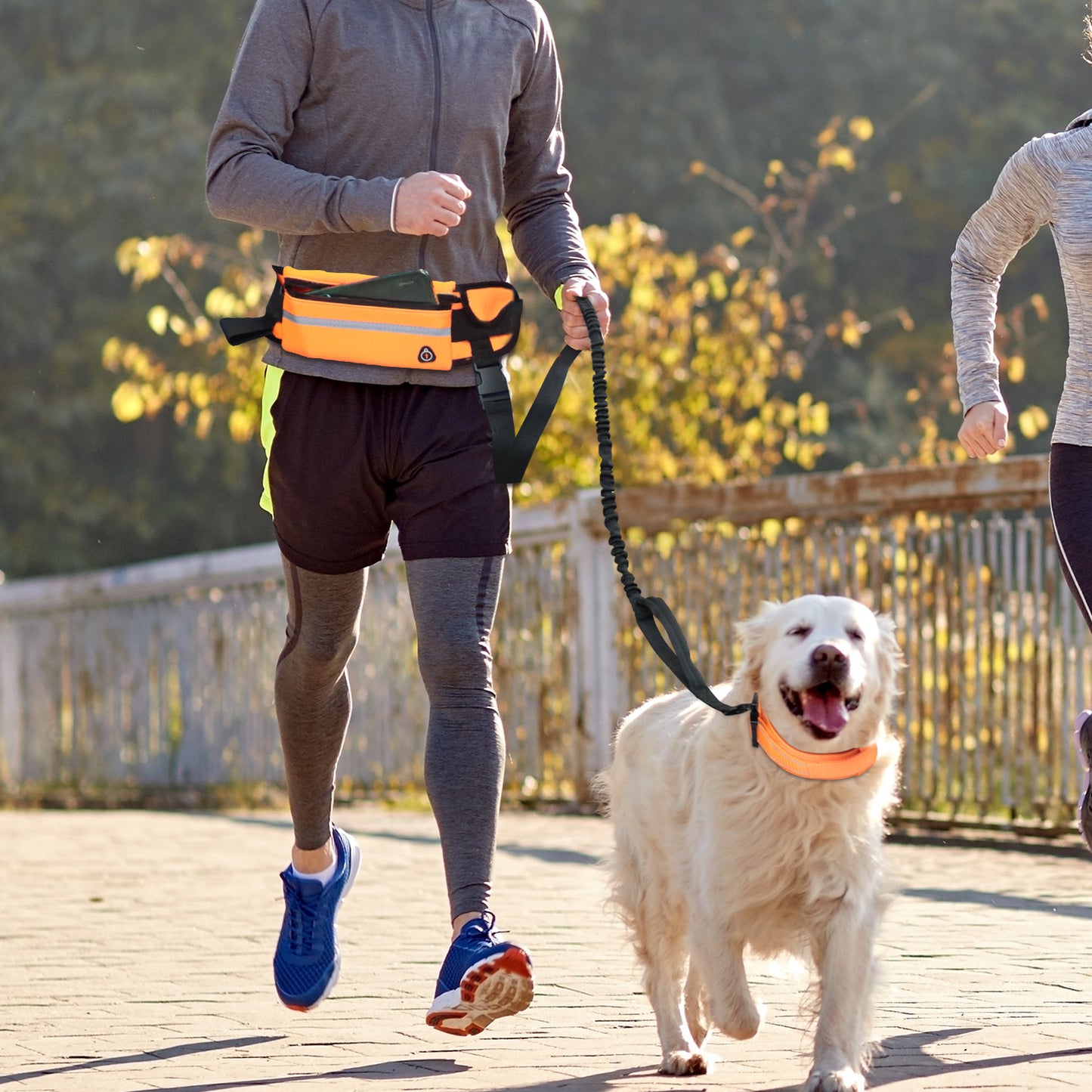 Hands Free Dog Leash for Running Walking Waist Bag