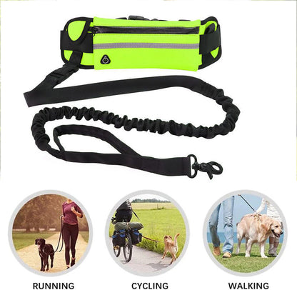 Hands Free Dog Leash for Running Walking Waist Bag