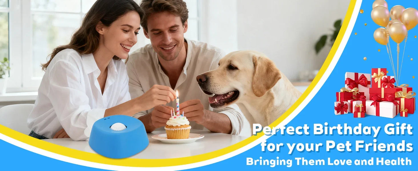 Anti-Choking Slow Feeder Dog Bowl
