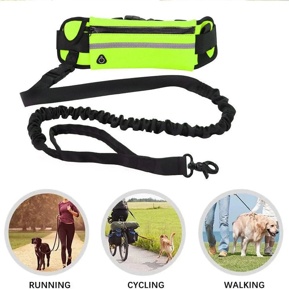 Hands Free Dog Leash for Running Walking Waist Bag