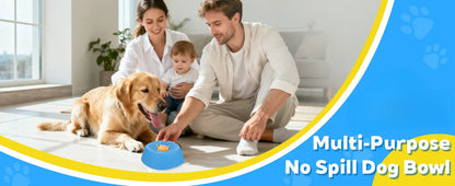 Anti-Choking Slow Feeder Dog Bowl