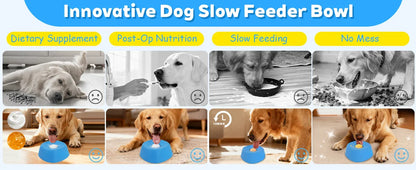 Anti-Choking Slow Feeder Dog Bowl