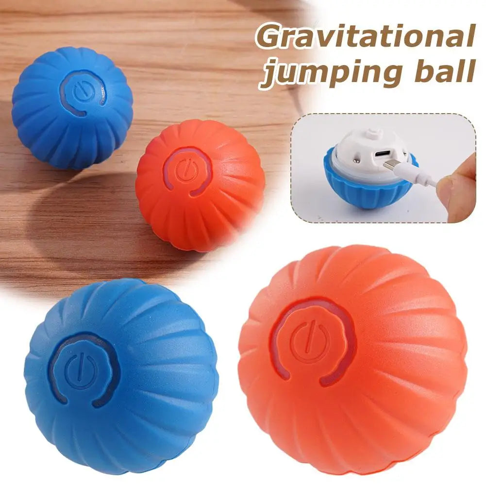 2Pcs Smart Dog Toy Ball