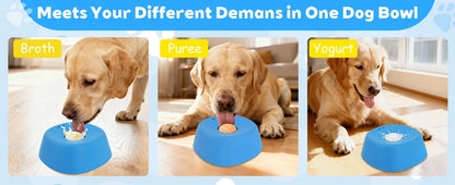 Anti-Choking Slow Feeder Dog Bowl