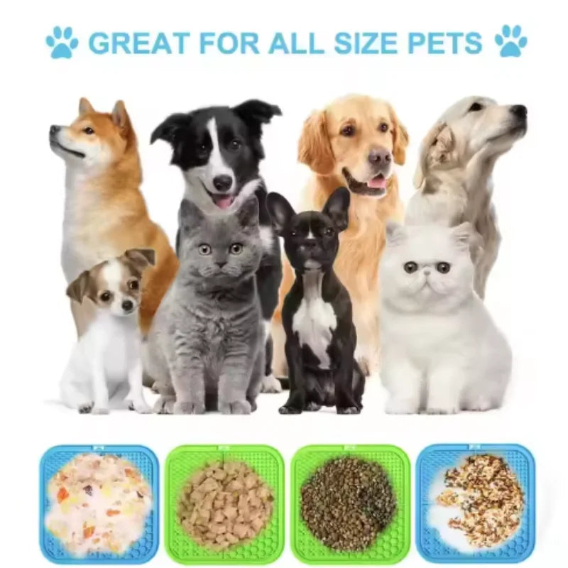 Pet Slow Food Plate