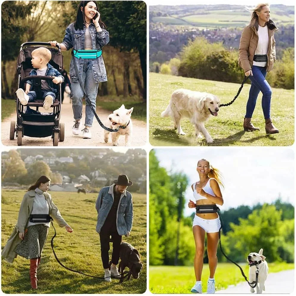 Hands Free Dog Leash for Running Walking Waist Bag