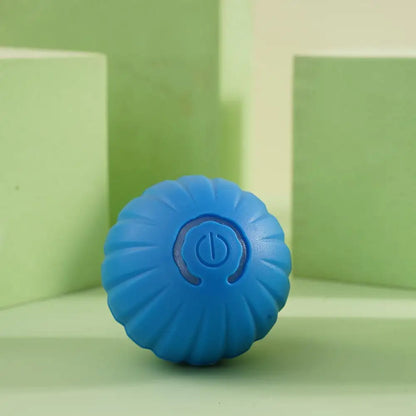 2Pcs Smart Dog Toy Ball