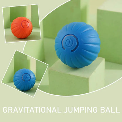 2Pcs Smart Dog Toy Ball