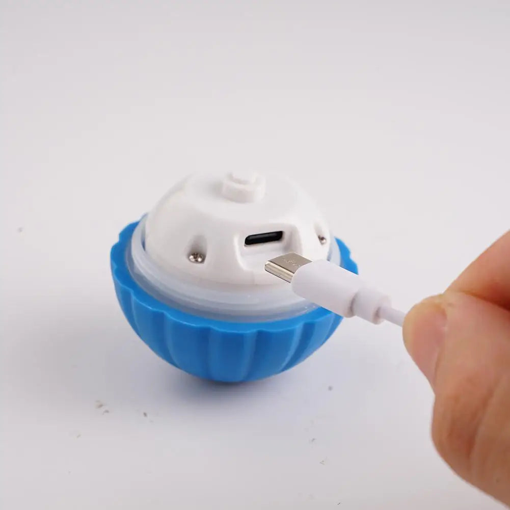 2Pcs Smart Dog Toy Ball