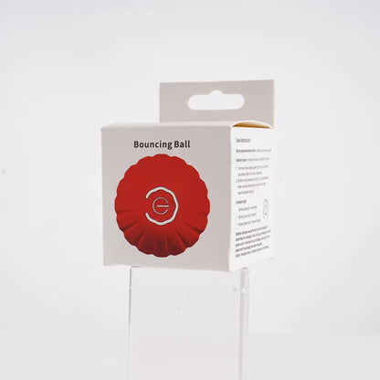 2Pcs Smart Dog Toy Ball