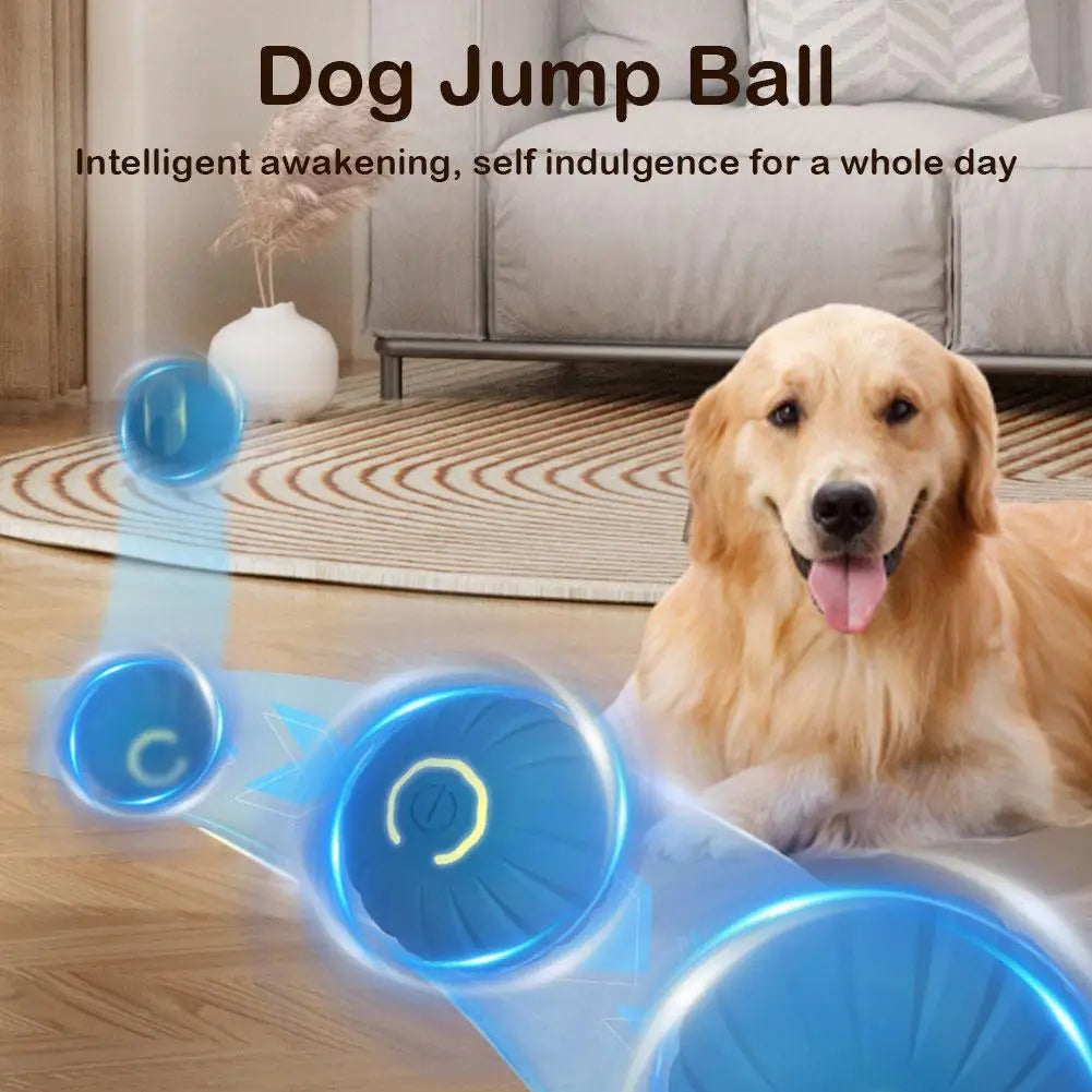 2Pcs Smart Dog Toy Ball
