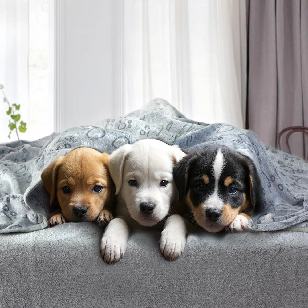 Pet Soft Blankets